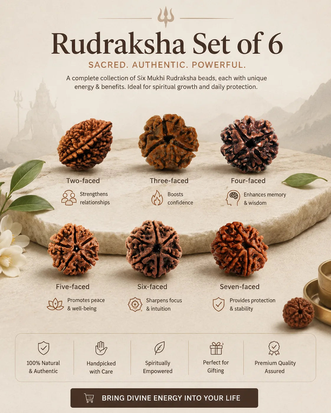 2-7 Mukhi Rudraksha Set