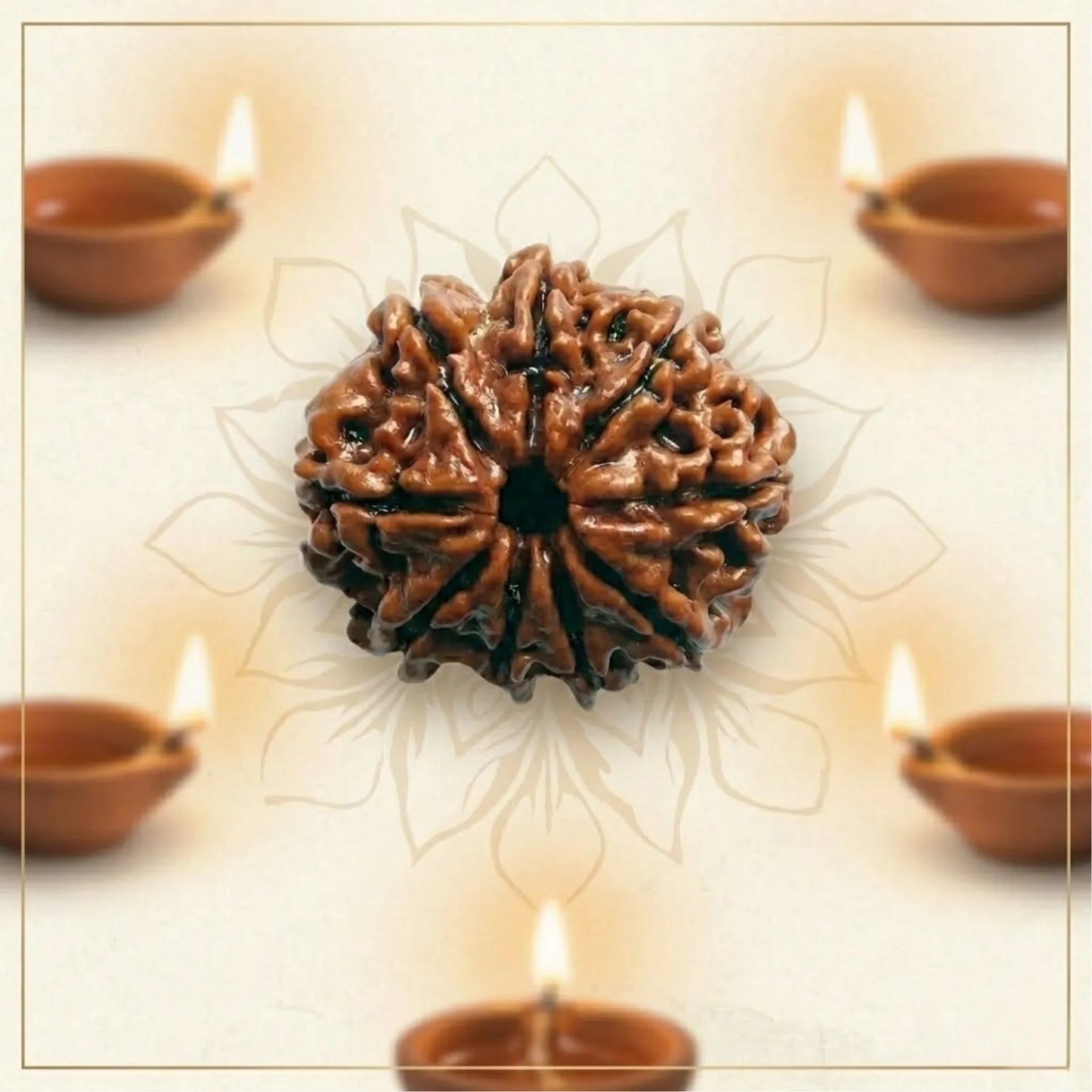 9 Mukhi Rudraksha (Nepali)