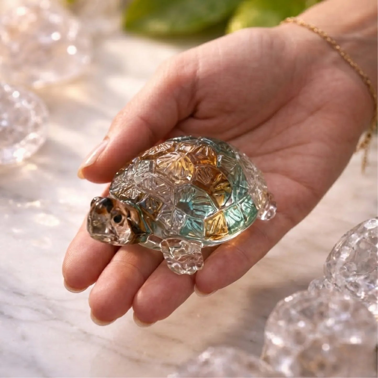 Money Magnet Tortoise