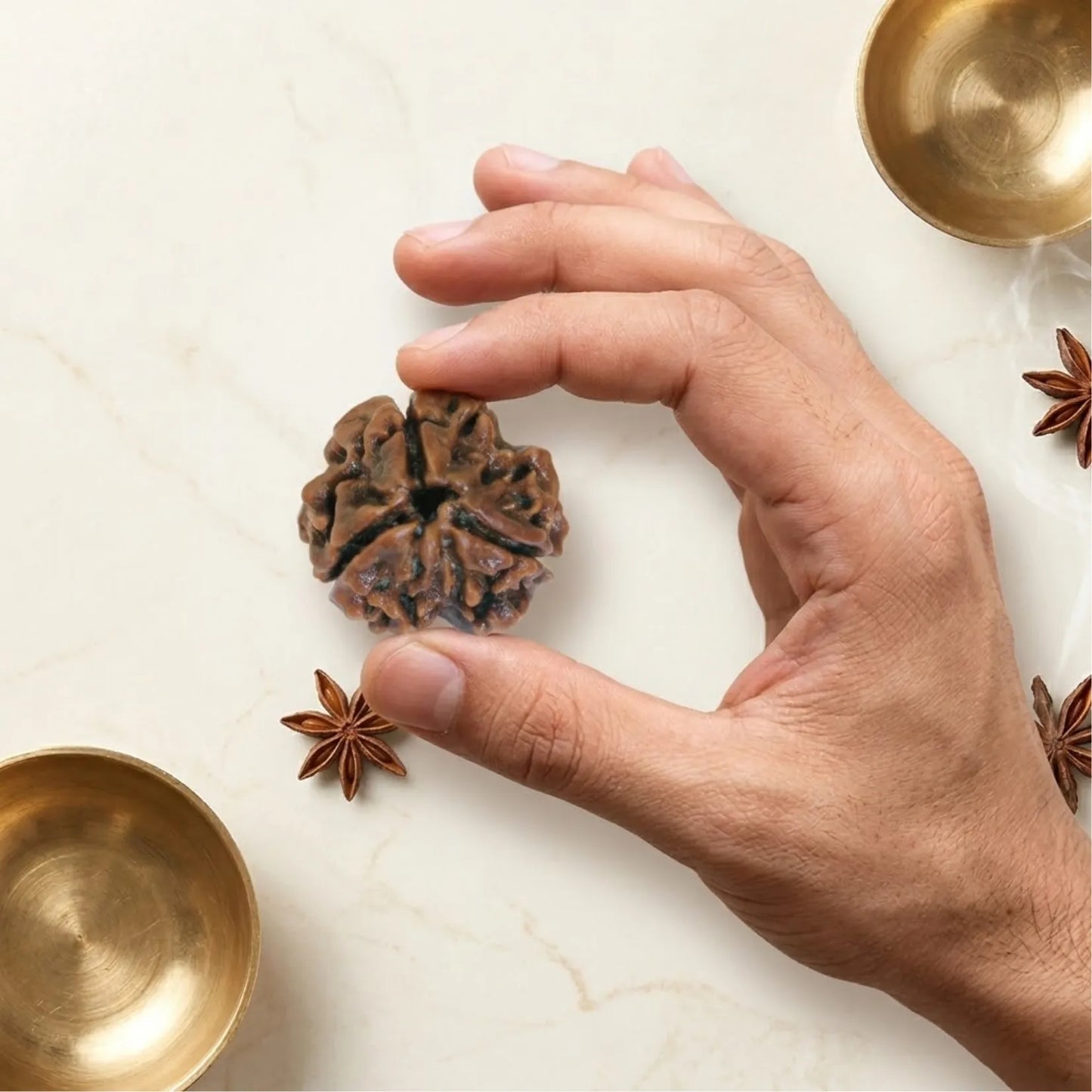3 Mukhi Rudraksha (Nepali)
