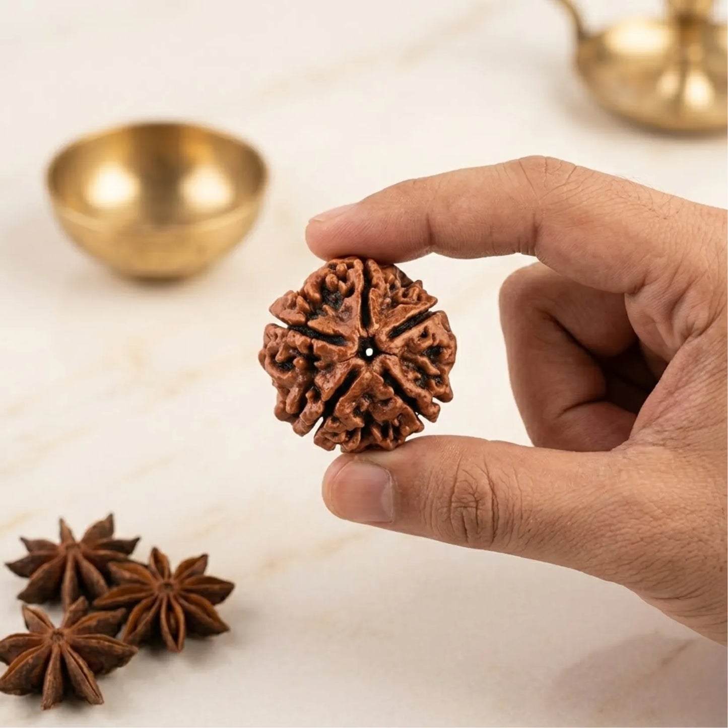 5 Mukhi Rudraksha (Nepali)