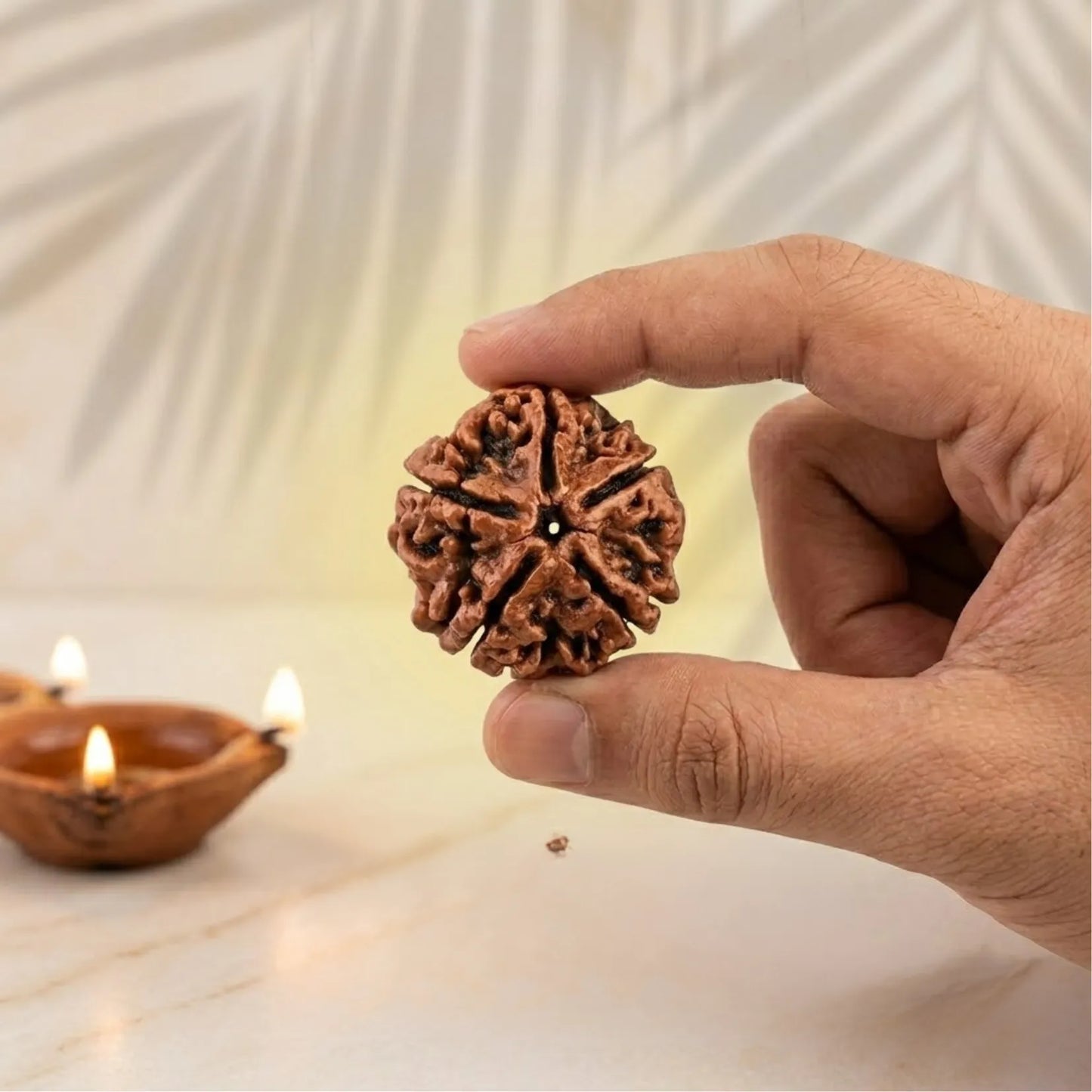 6 Mukhi Rudraksha (Nepali)