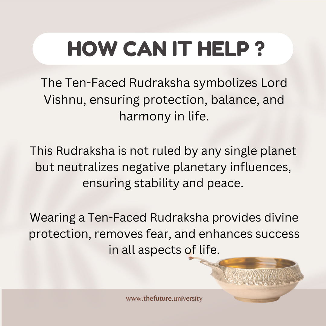 10 Mukhi Rudraksha