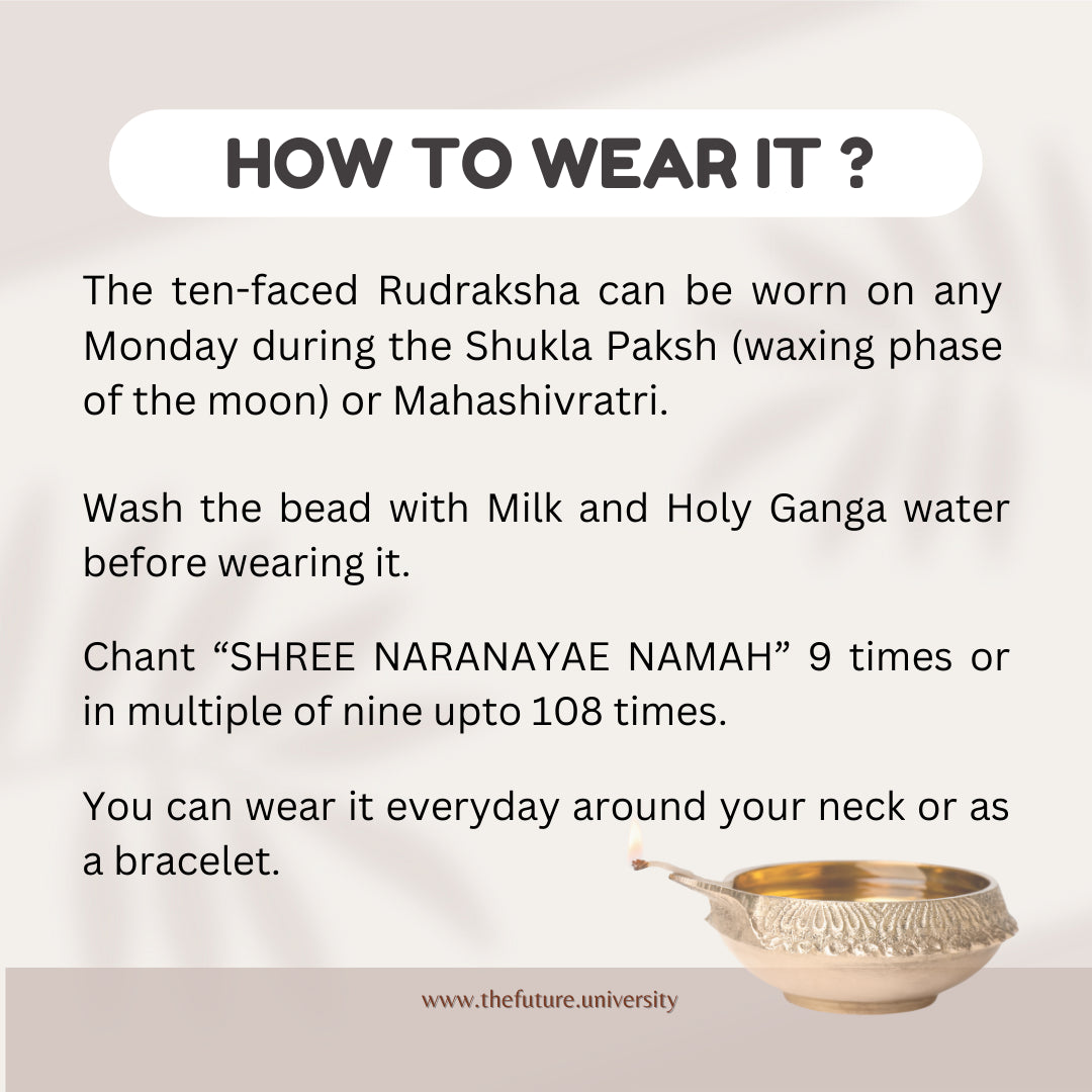 10 Mukhi Rudraksha