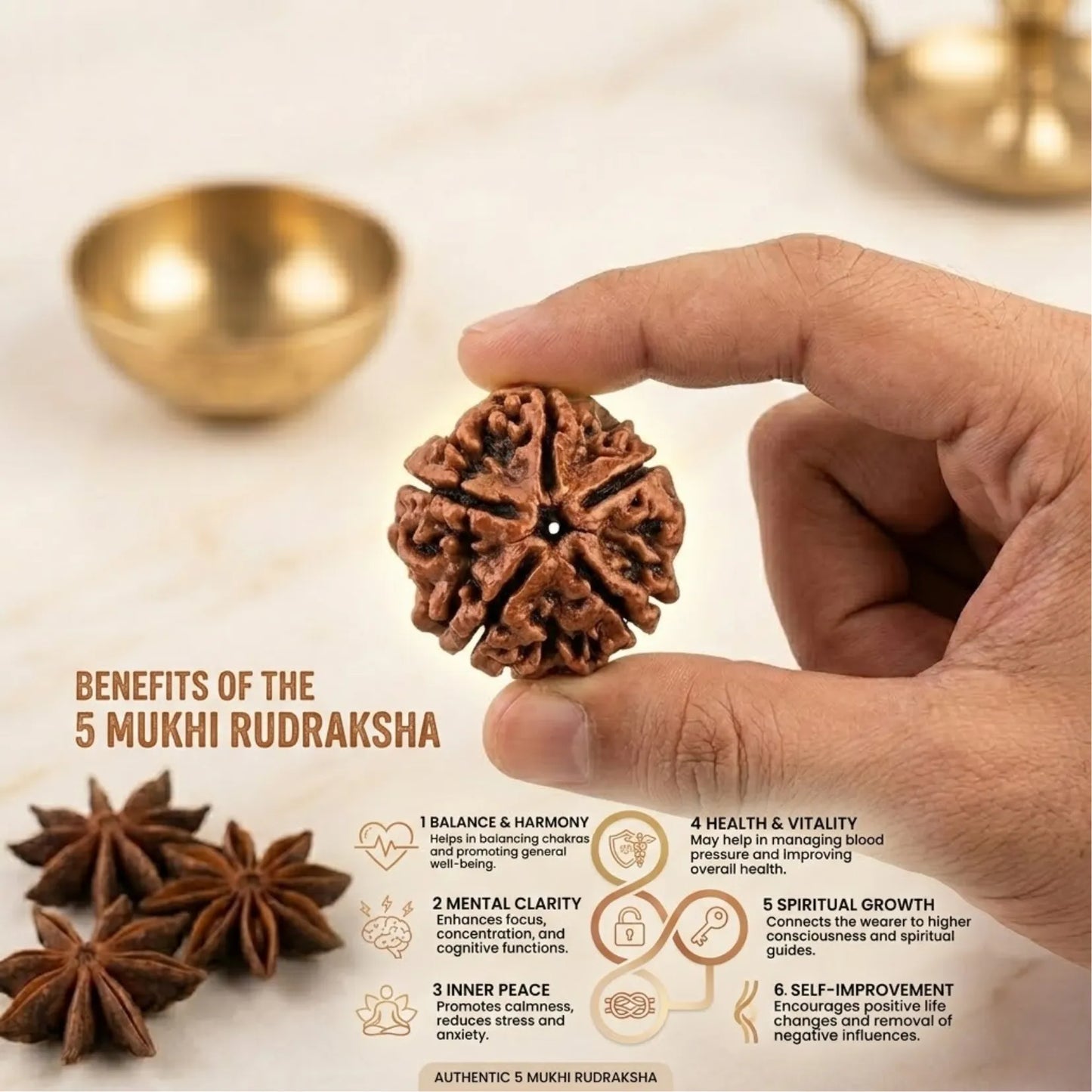 5 Mukhi Rudraksha (Nepali)