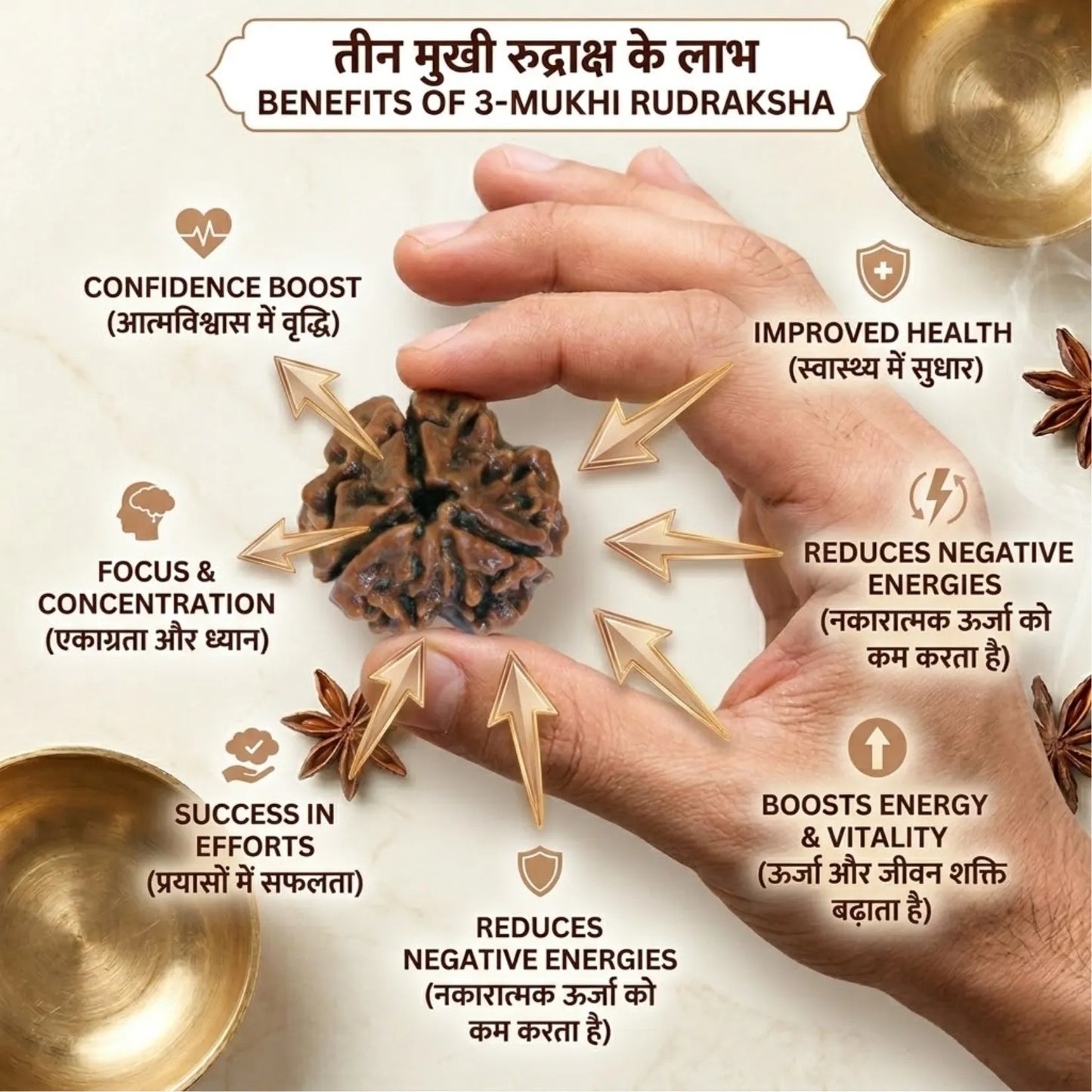 3 Mukhi Rudraksha (Nepali)