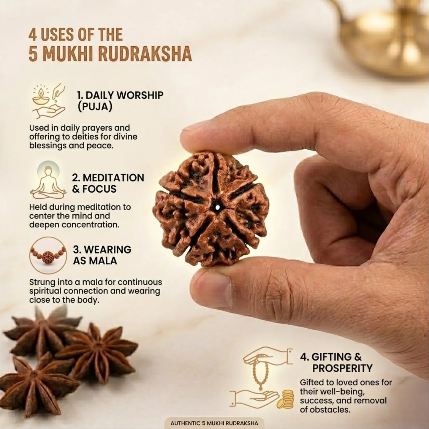 5 Mukhi Rudraksha (Nepali)